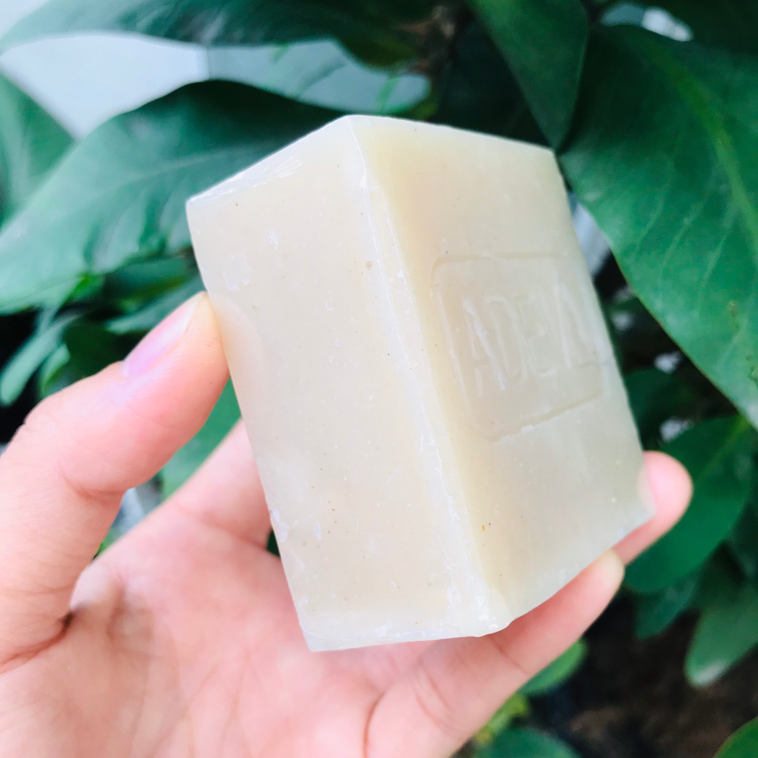 Xà phòng handmade Adeva Naturals - Xà bông Trái nhàu Noni (3 bánh - 100 gr/ 1 bánh)