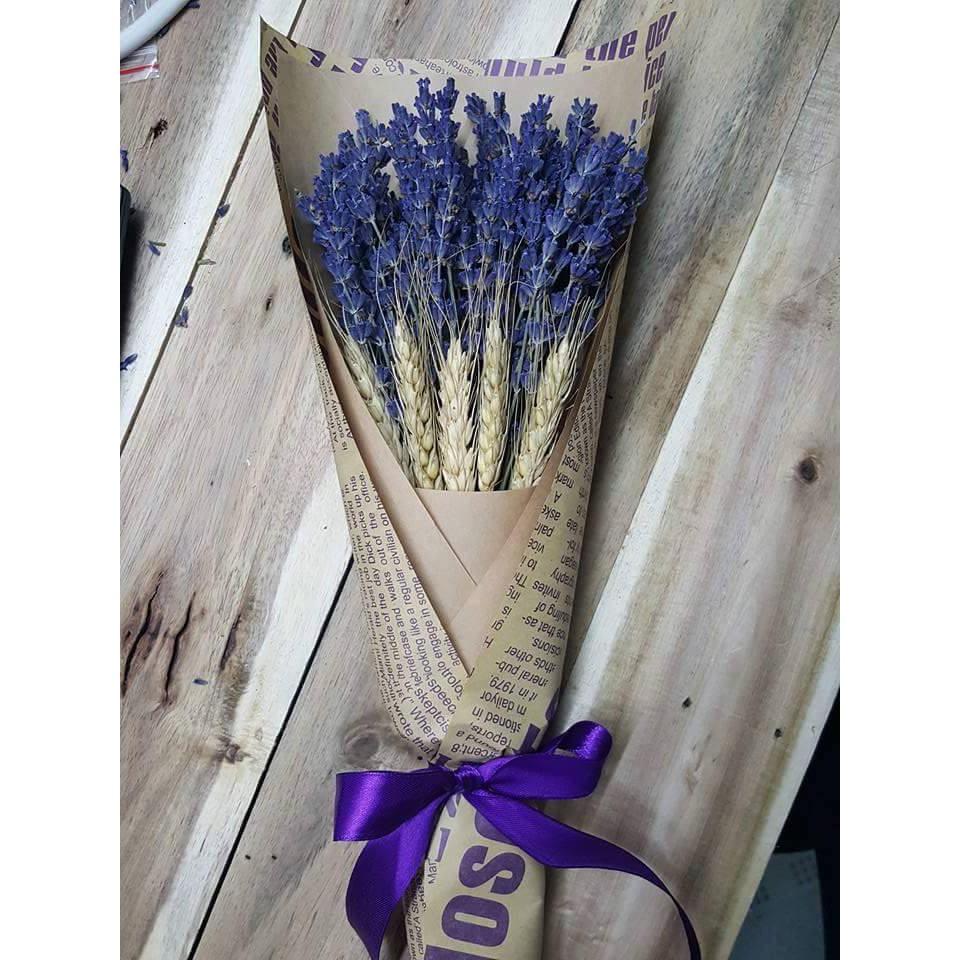 Hoa Oải Hương Lavender 100 cành mix lúa mạch