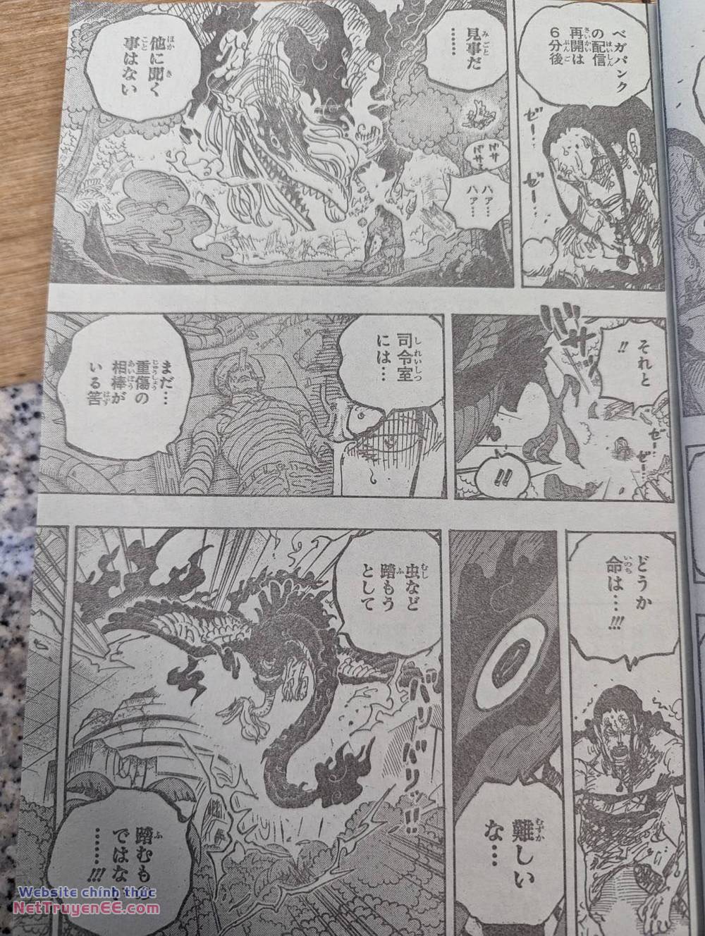 đảo hải tặc - one piece chapter 1111 9