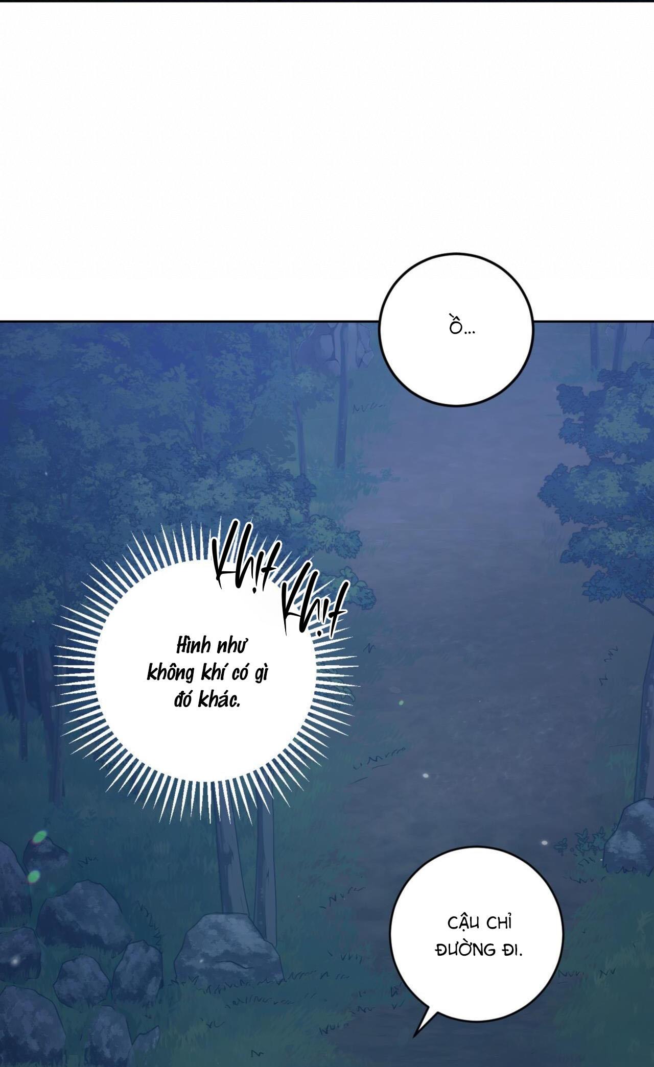 khu rừng tĩnh lặng chapter 9 21