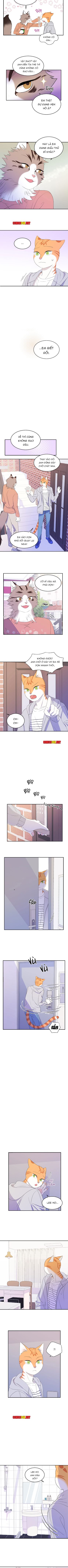 dự án xanh chapter 9 3