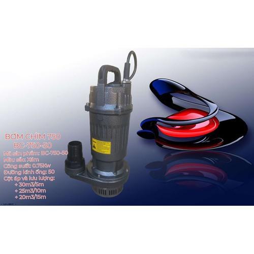 Máy bơm tõm - 750W