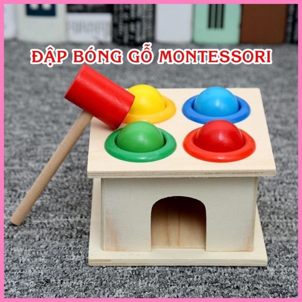 Combo bộ đồ chơi hộp đập bóng đồ chơi gỗ giúp bé luyện tay, nhận biết màu sắc