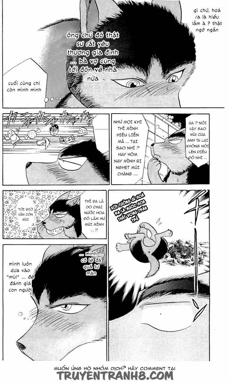 wild half chapter 14 16