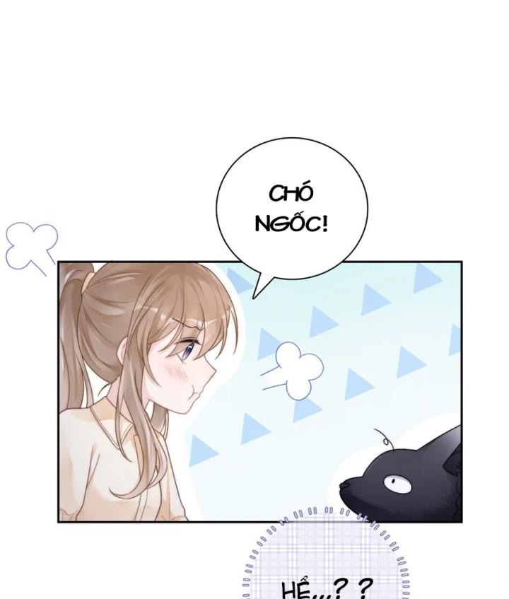 tổng tài bá đạo, đầu óc anh ấy có vấn đề chapter 1 15