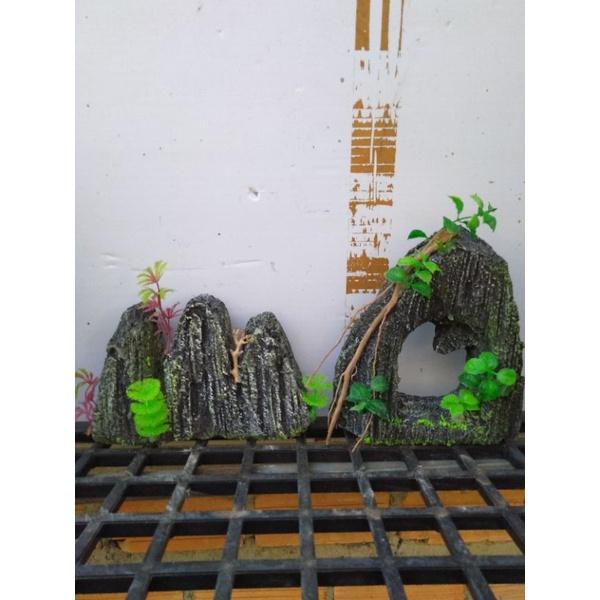 Núi bể cá cảnh