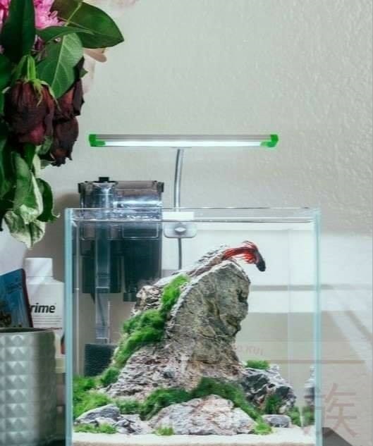 Đèn Led Kẹp ánh sáng trắng N25_3.3W thích hợp cho bể 30cm cho bể thủy sinh, bể bán cạn
