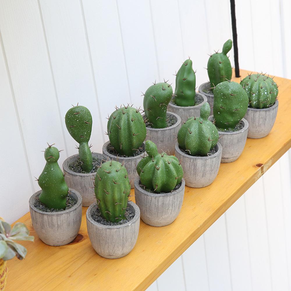 Cây Xương Rồng Giả Trang Trí Sân Vườn