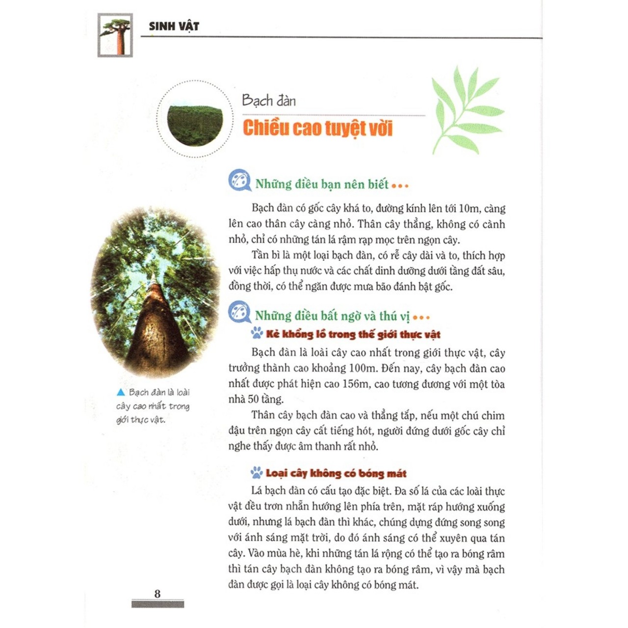 Combo: Khám Phá Bí Ẩn Thế Giới Tự Nhiên