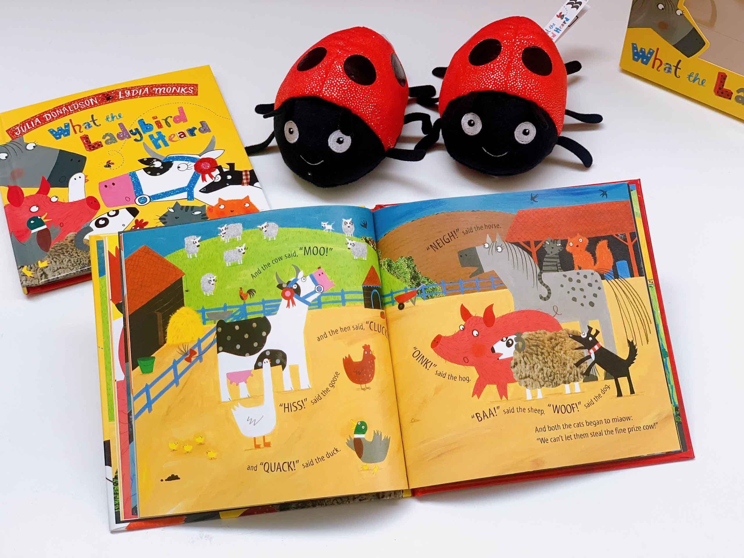 What the Ladybird Heard Book and Toy Gift Set