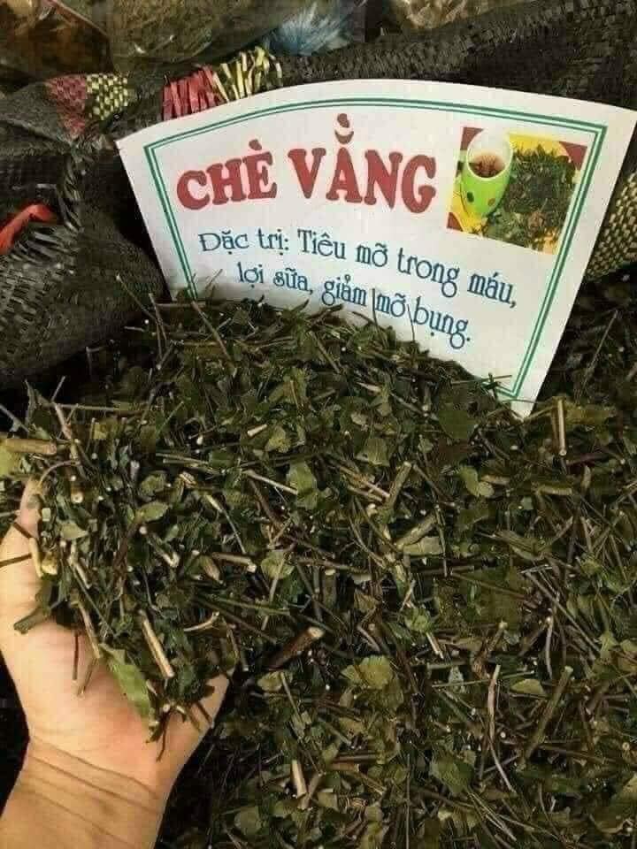 Cây lá chè vằng 1KG