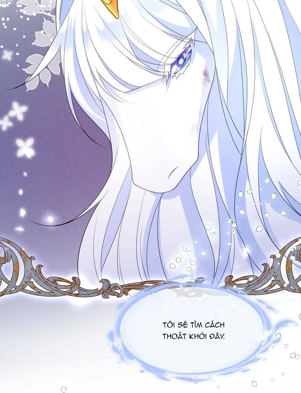 trở thành đoàn sủng về sau, ta đại sát tứ phương chapter 17 34