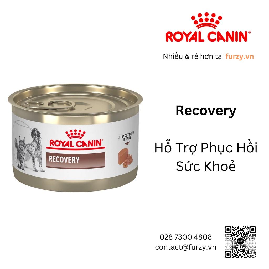 Royal Canin Thức Ăn Dinh Dưỡng Phục Hồi Sức Khoẻ Recovery