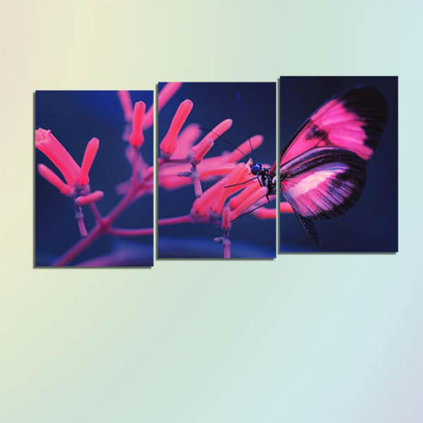 Bộ 3 Tranh Canvas Viền Composite Treo Tường Về Hoa Và Bướm W538