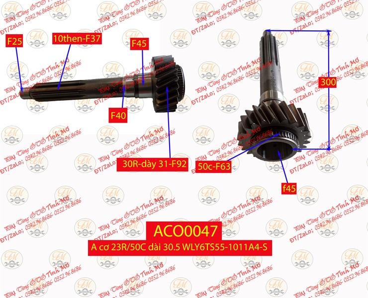 A cơ 23R/50C dài 30.5 WLY6TS55-1011A4-S