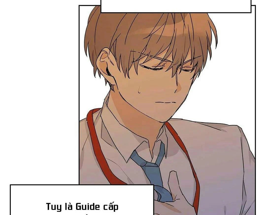 guide cấp b chapter 12 82