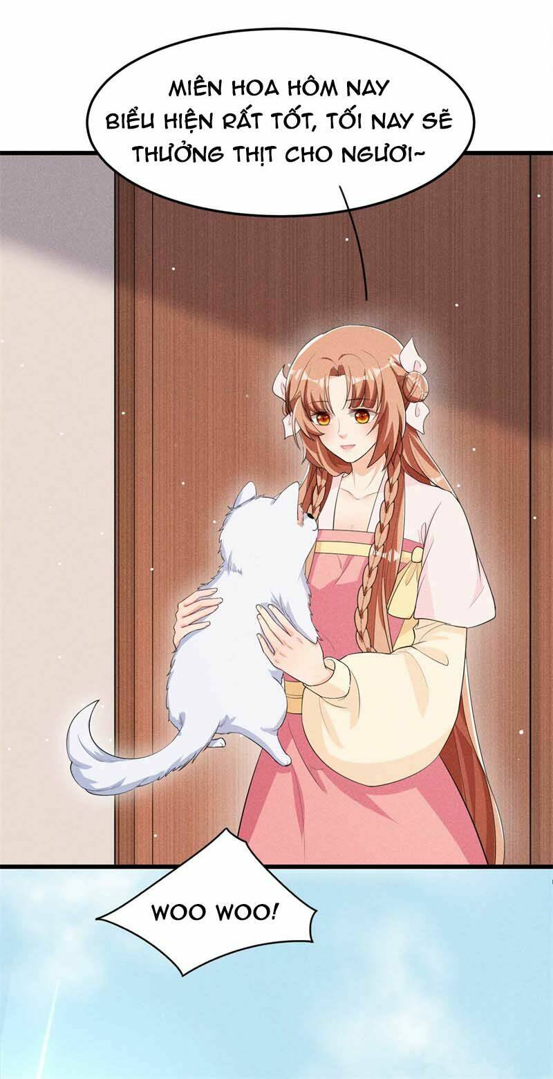 hoàng tử phu quân, ta nuôi ngươi a! chapter 26 13