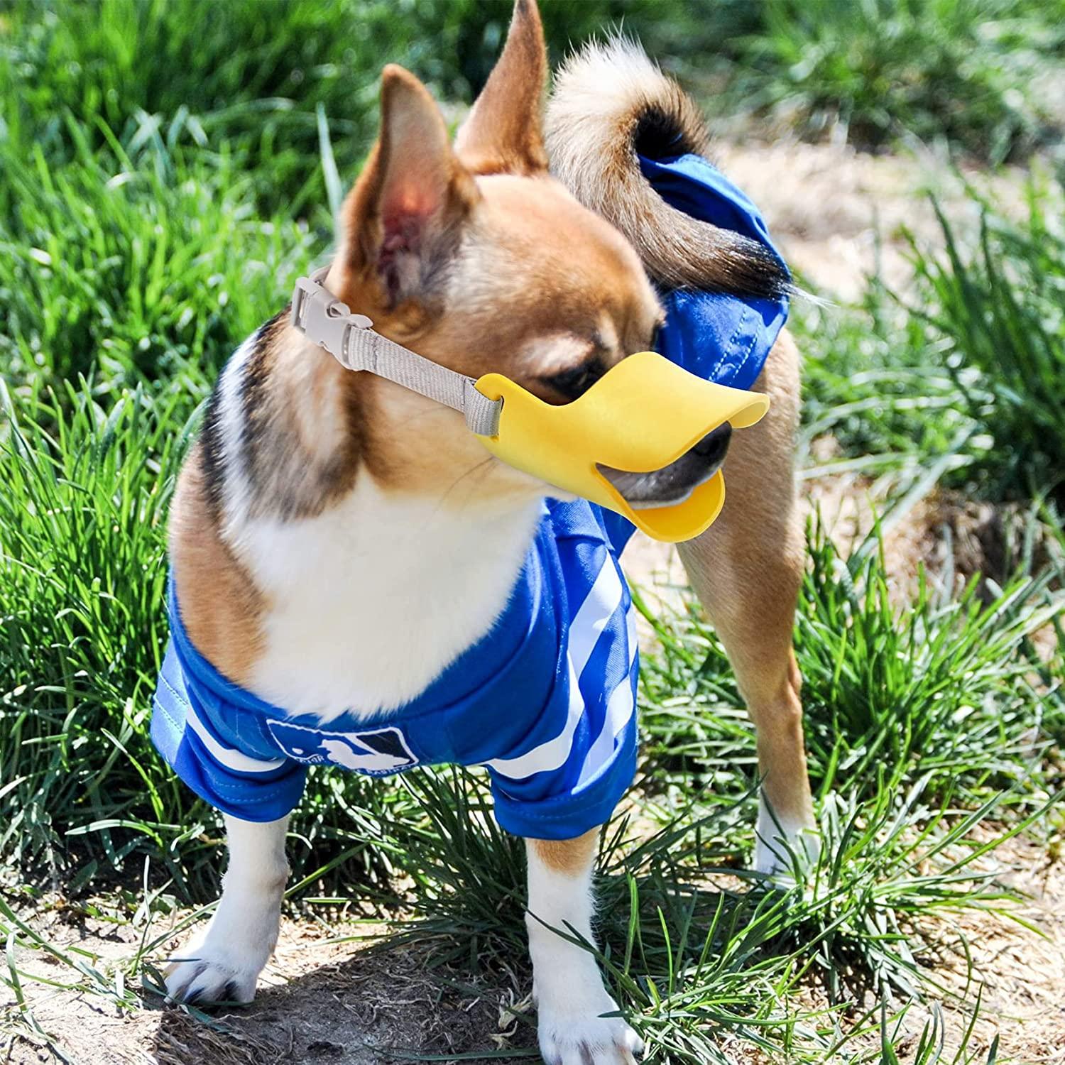 2 Mõm Chó, Bịt Miệng Chó Chống Sủa Nhai