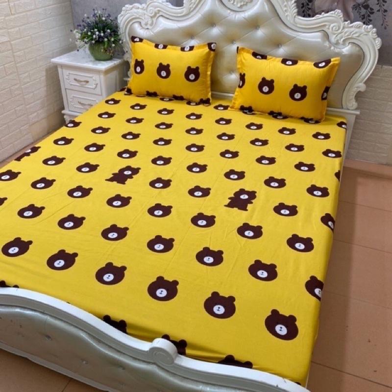 Bộ chăn ga gối 5 món mẫu chú gấu nâu vàng đủ kích thước