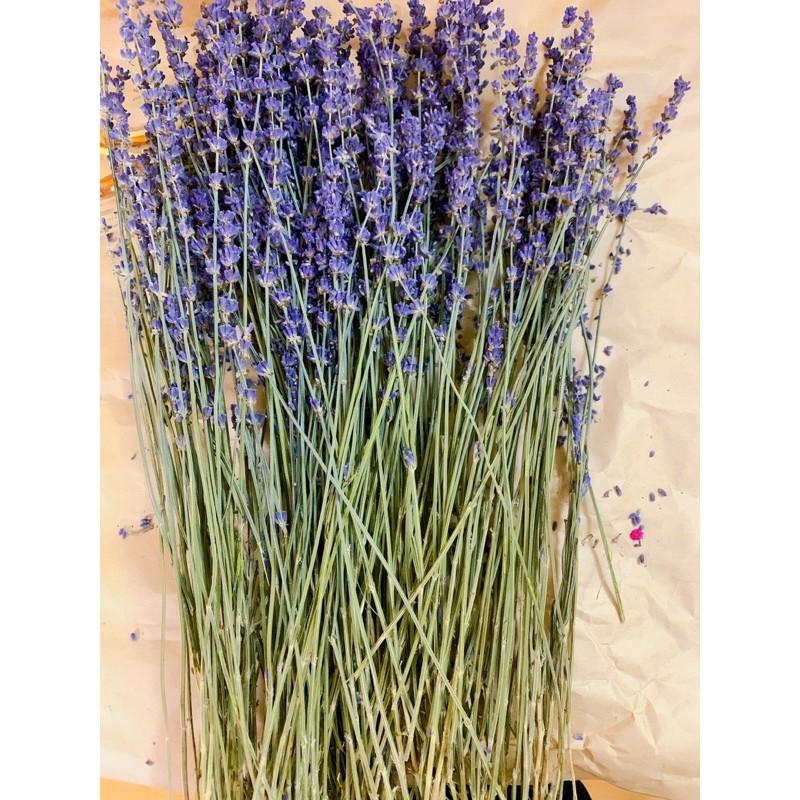 Set 10 cành hoa Lavender hàng đẹp nhé khách