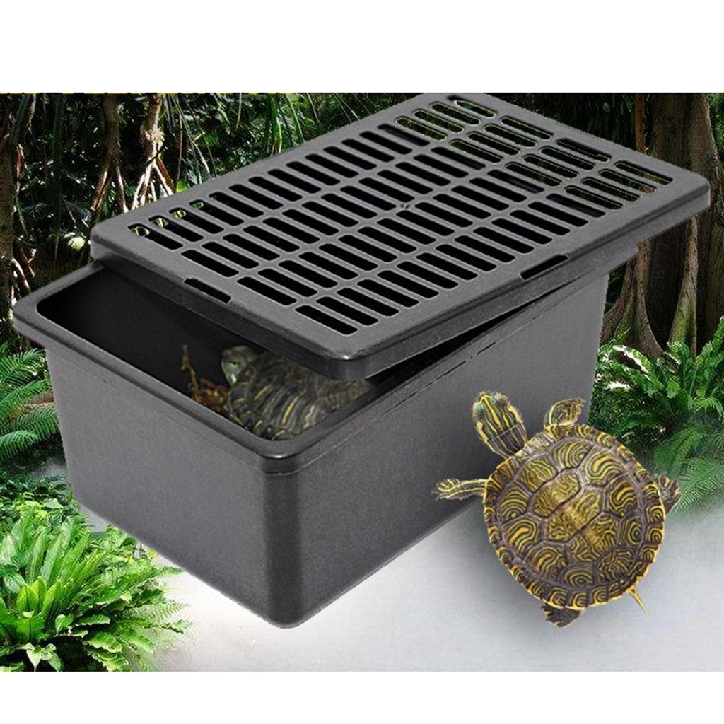 5x Reptile Vivarium Terrarium Breeding Tank Reptile Feeding Rearing Box Cage