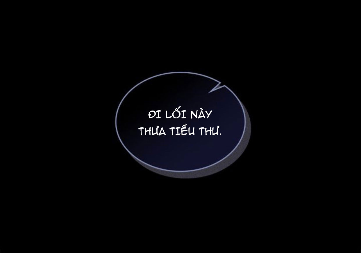 đi tìm nàng camellia chapter 1 23