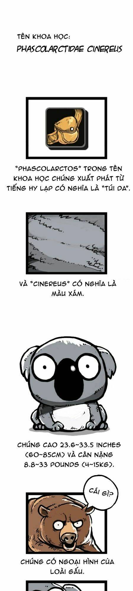 earth, human, and animal chapter 25 7