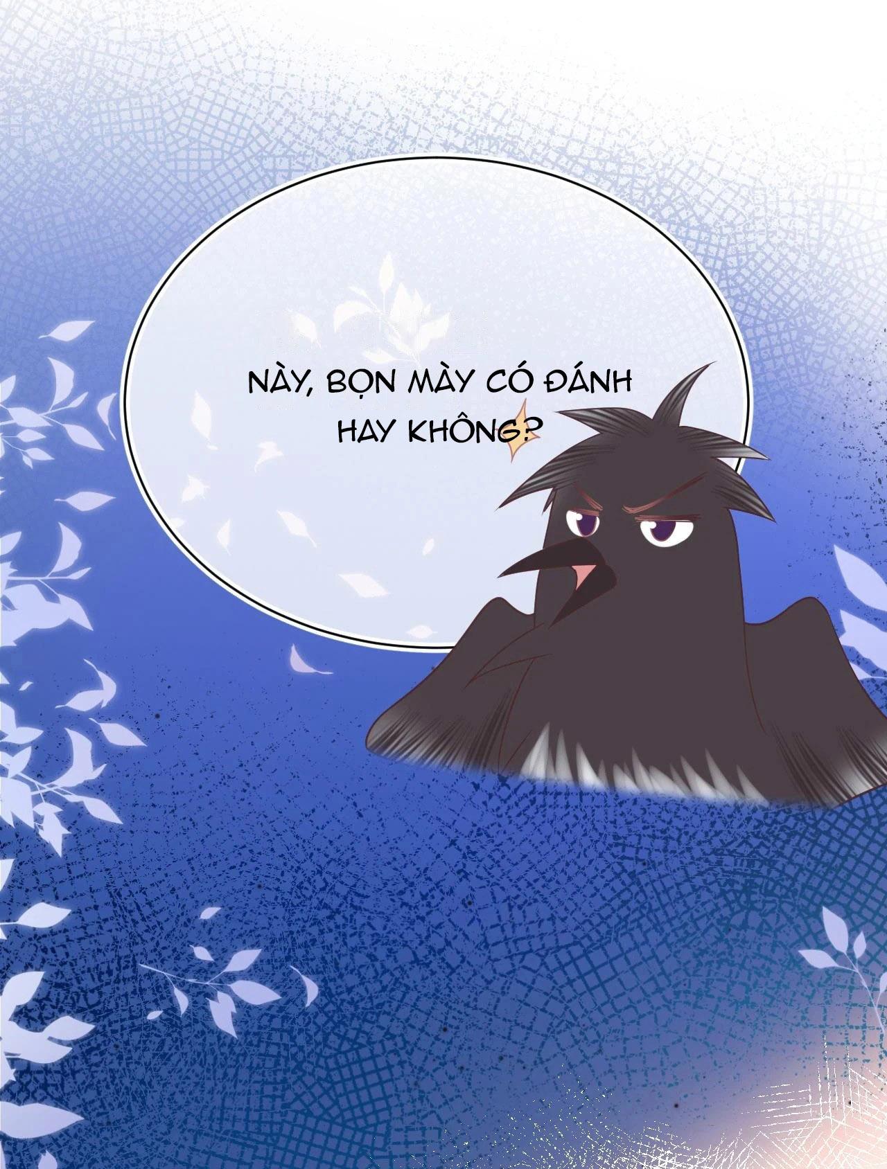 [ss2] một ngụm ăn cả thỏ con chapter 14 34