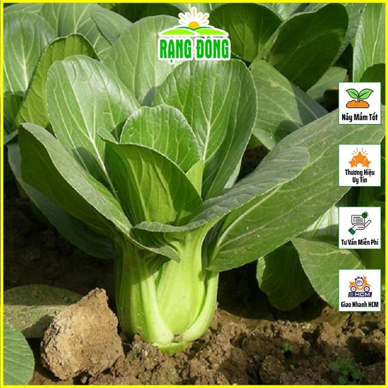 Hạt giống Cải Thìa , Dễ Trồng - Hạt giống Rạng Đông