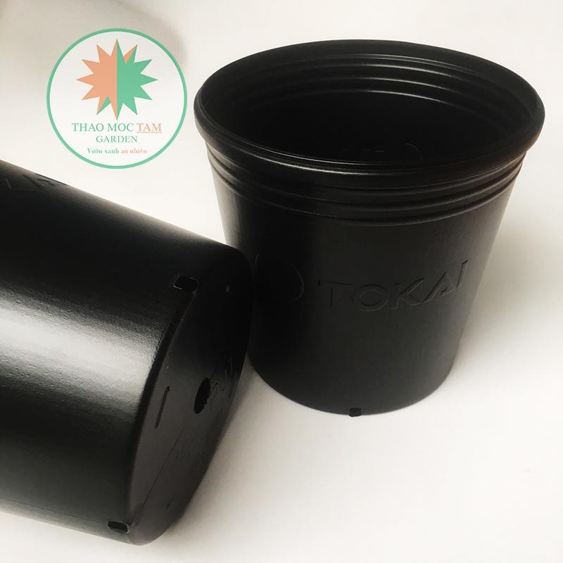 10 Chậu Trồng Cây 24x24cm TOKAI – Chậu to trồng cây chất lượng Nhật