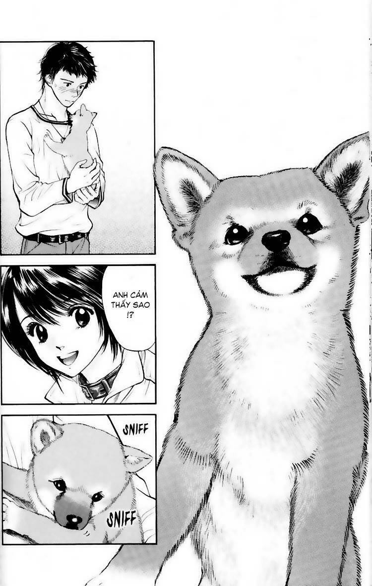 cô nàng yêu chó chapter 18 12