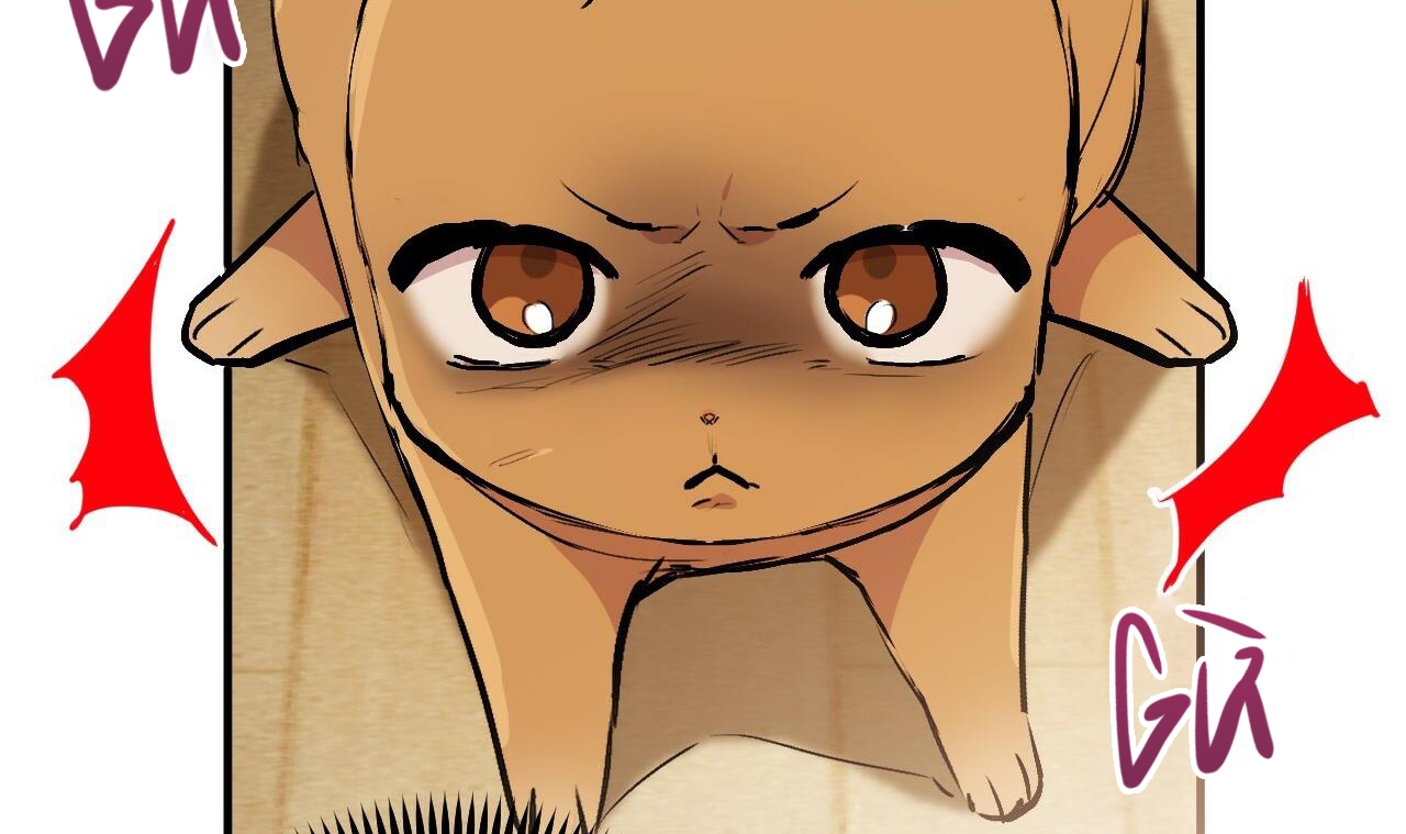 đàn thỏ của habibi chapter 45 42