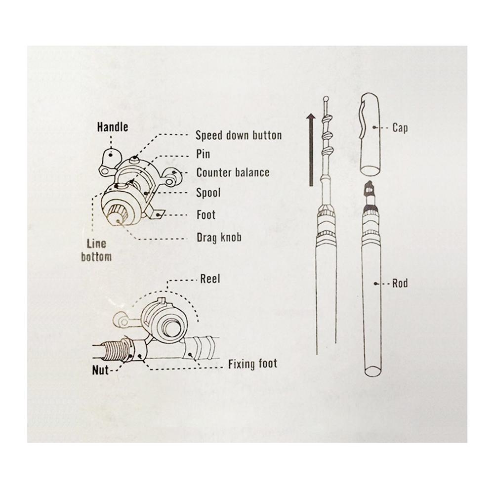 Cần câu cá mini bỏ túi kèm guồng quay và dây câu
