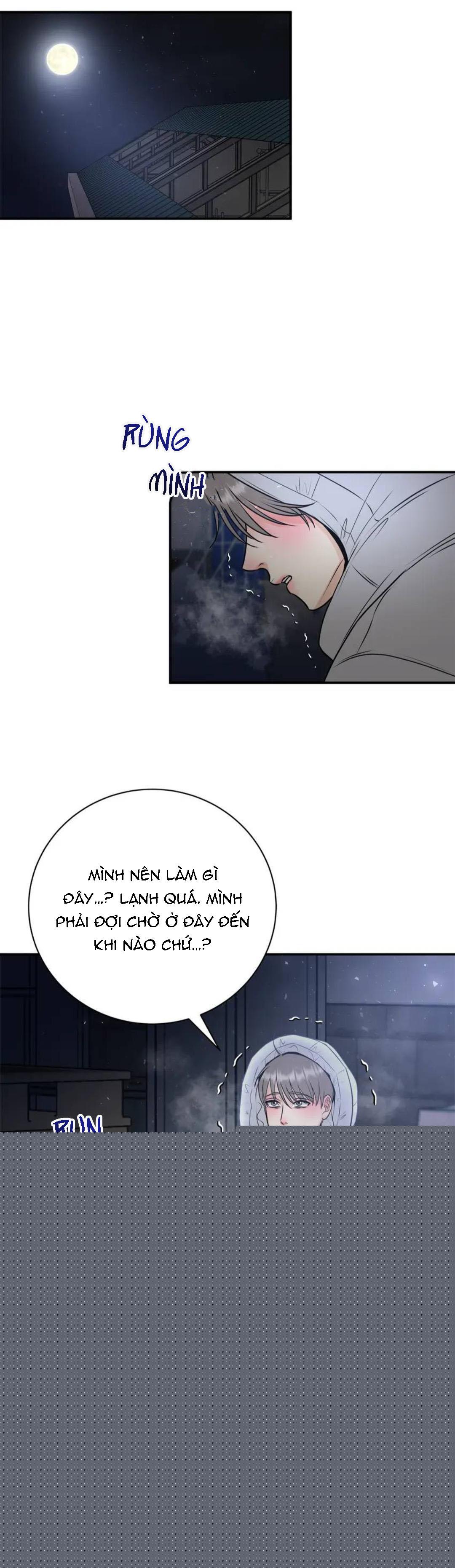 hạnh phúc trọn vẹn chapter 29 12