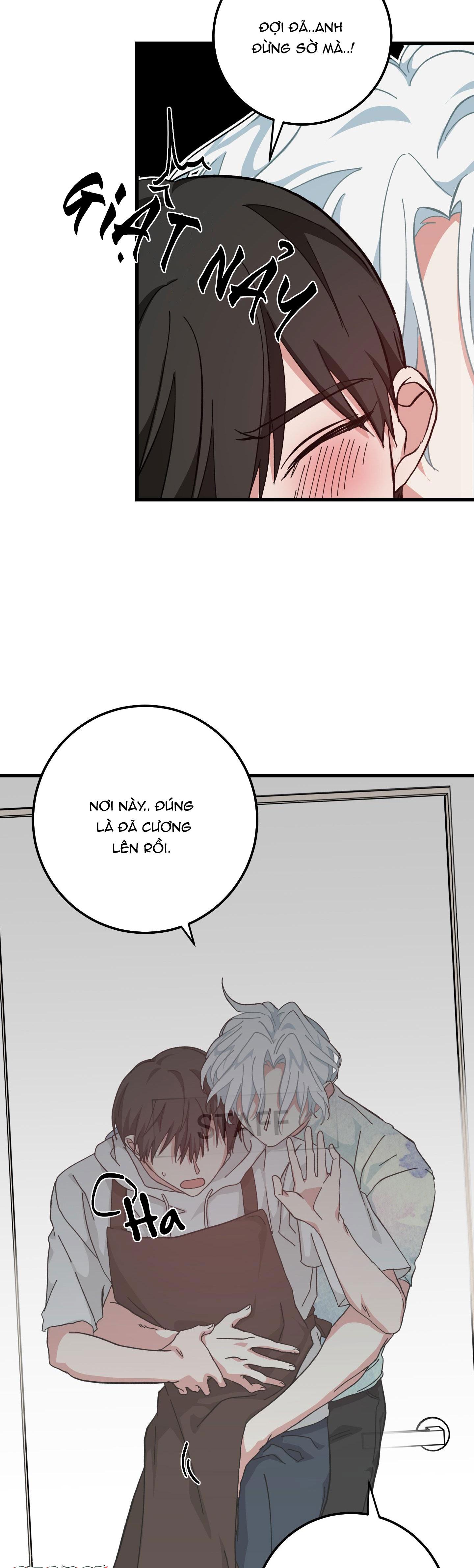 yêu tôi đi, thần hộ mệnh chapter 12 29