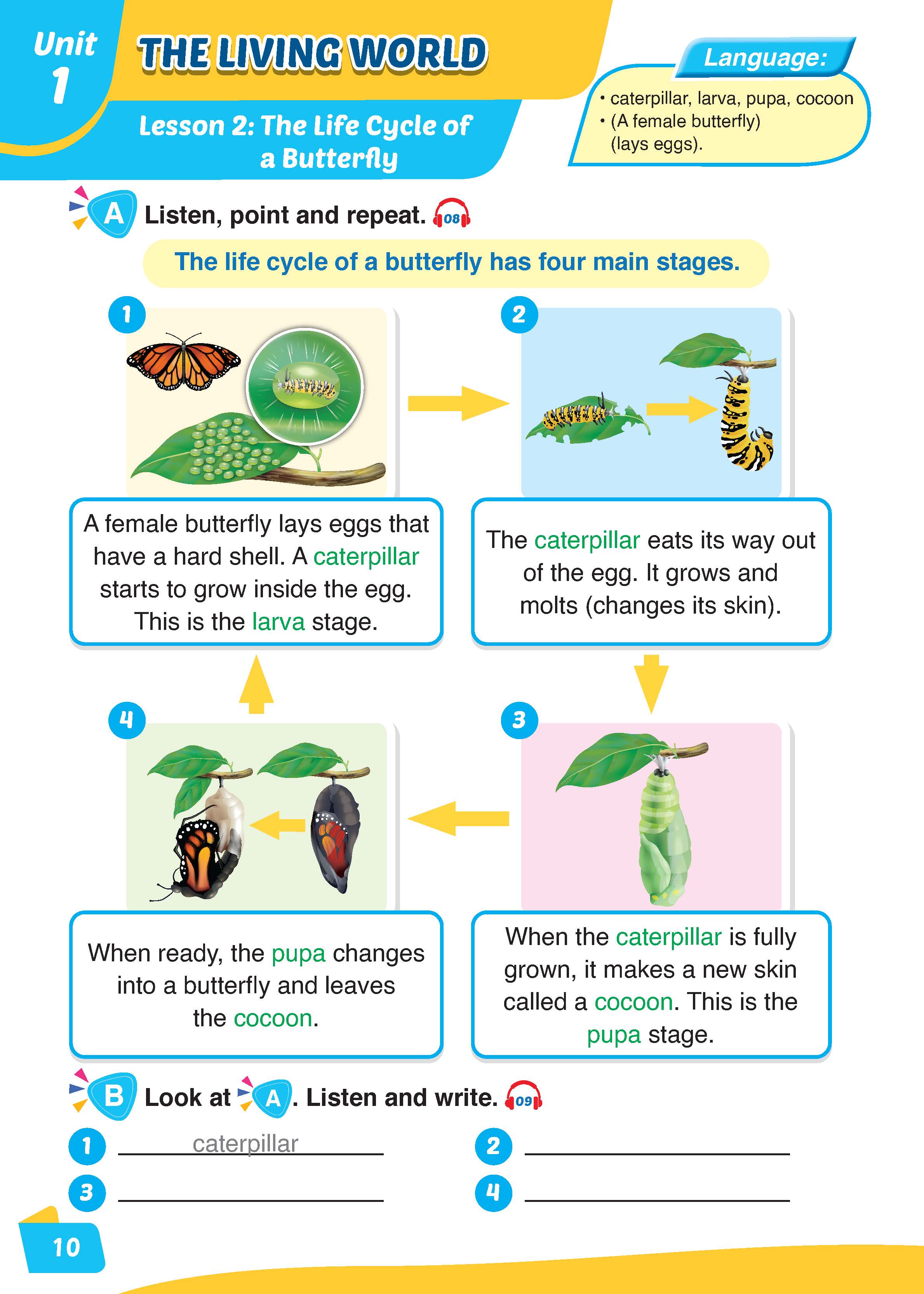 i-Learn English for Science 5