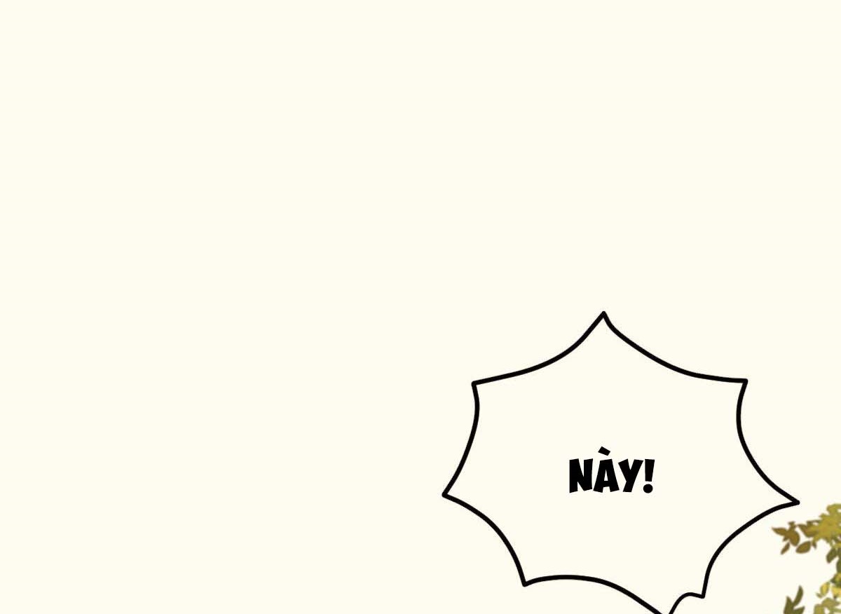 tương phùng chapter 31 315