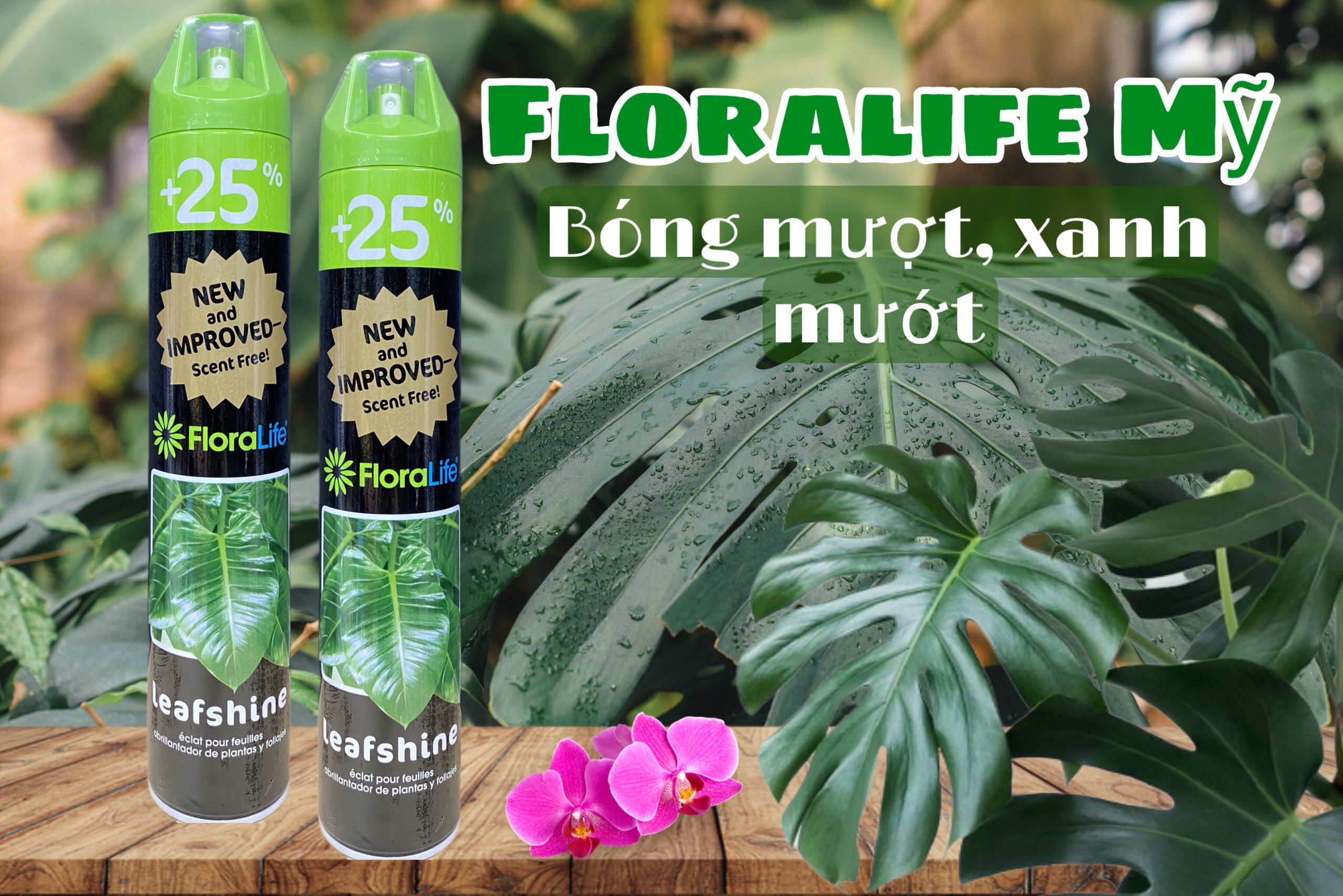 XỊT BÓNG LÁ FLORALIFE TỪ MỸ