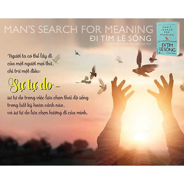 Đi Tìm Lẽ Sống