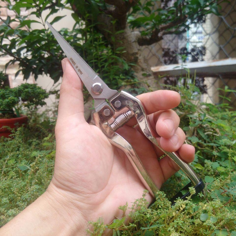 Kéo dùng cắt hoa hái trái cây Đài Loan LV101