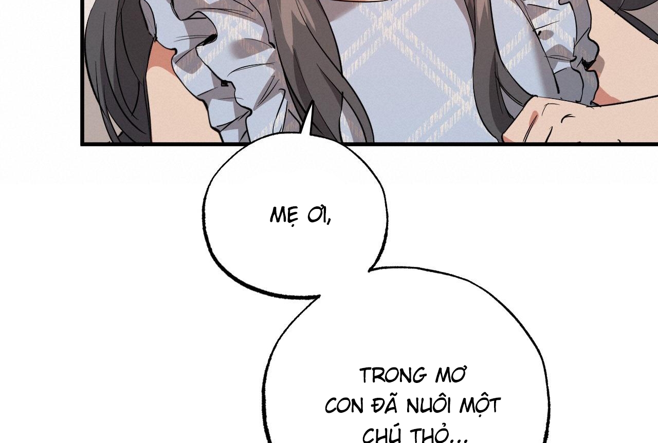 đàn thỏ của habibi chapter 65 32