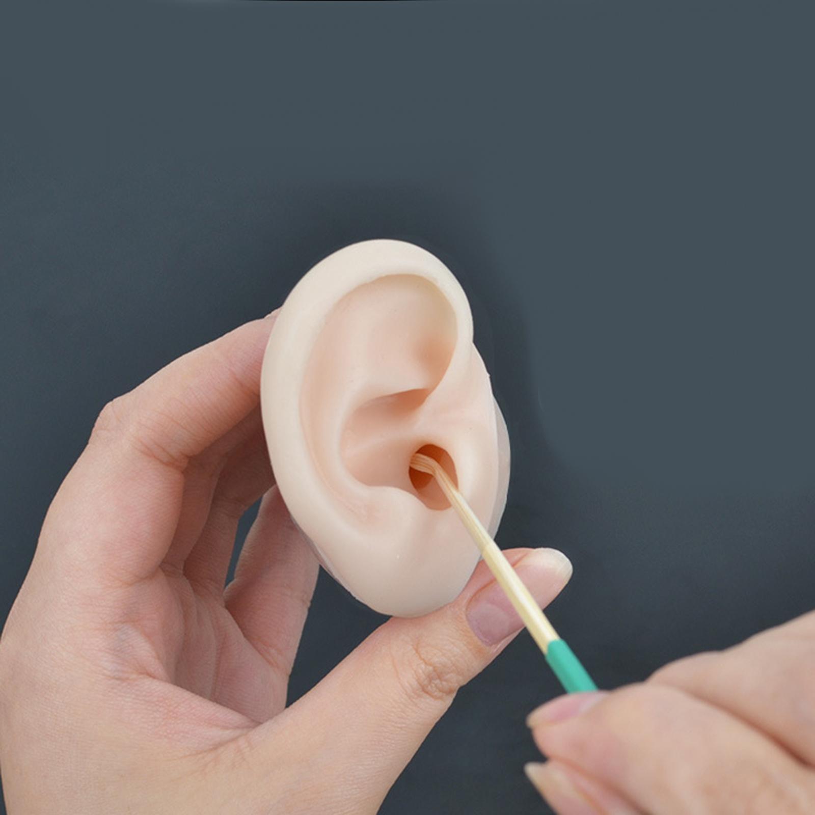 1Set Soft Silicone Ear Model with Base Delicate Texture Earrings Display