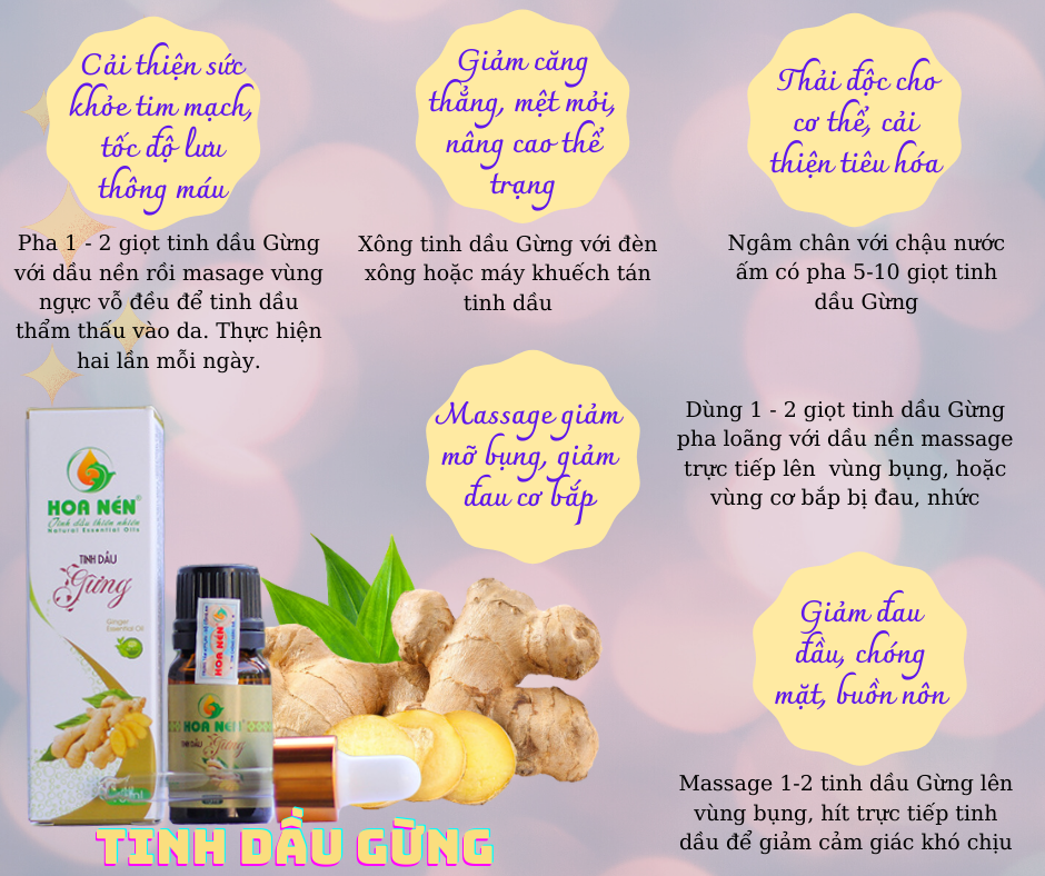 Tinh dầu Gừng nguyên chất Hoa Nén 5ml - Giảm đau đầu, say tàu xe, hỗ trợ tiêu hoá