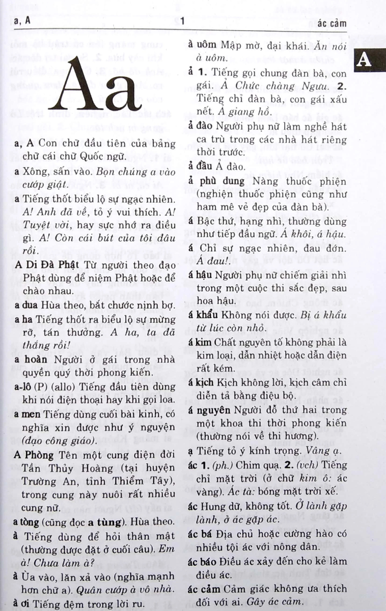 Từ Điển Tiếng Việt (100.000 Từ) (HA)