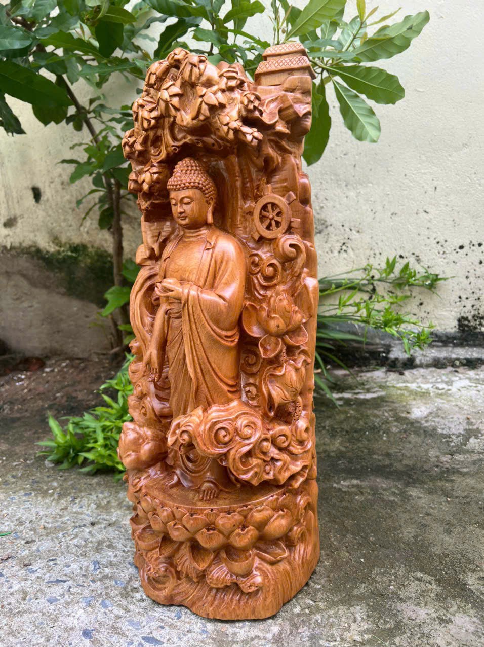 Tượng phật thích ca gỗ bách xanh kt cao 51×19×18cm