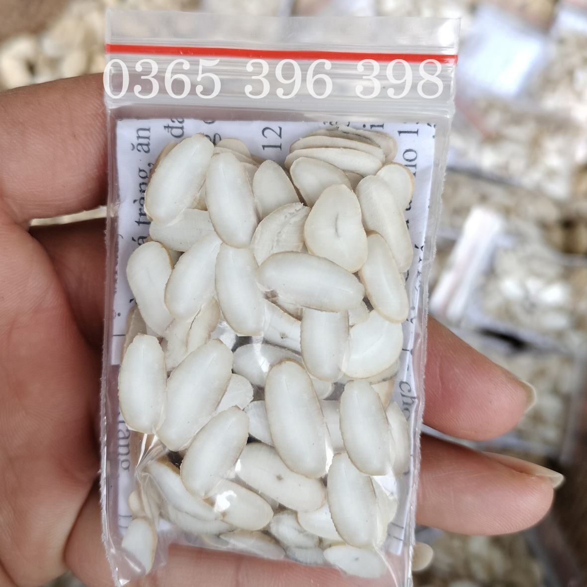 Hạt sang Hạt sành trắng, hạt giải quyết vấn đề dạ dày của người dân tộc H mong 2 gói