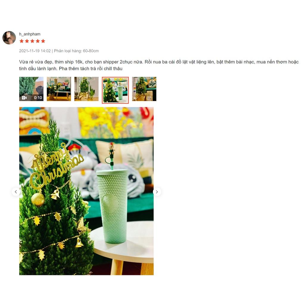 Cây Sơn Tùng Noel + TẶNG kèm giấy Kraft khổ lớn trang trí cây