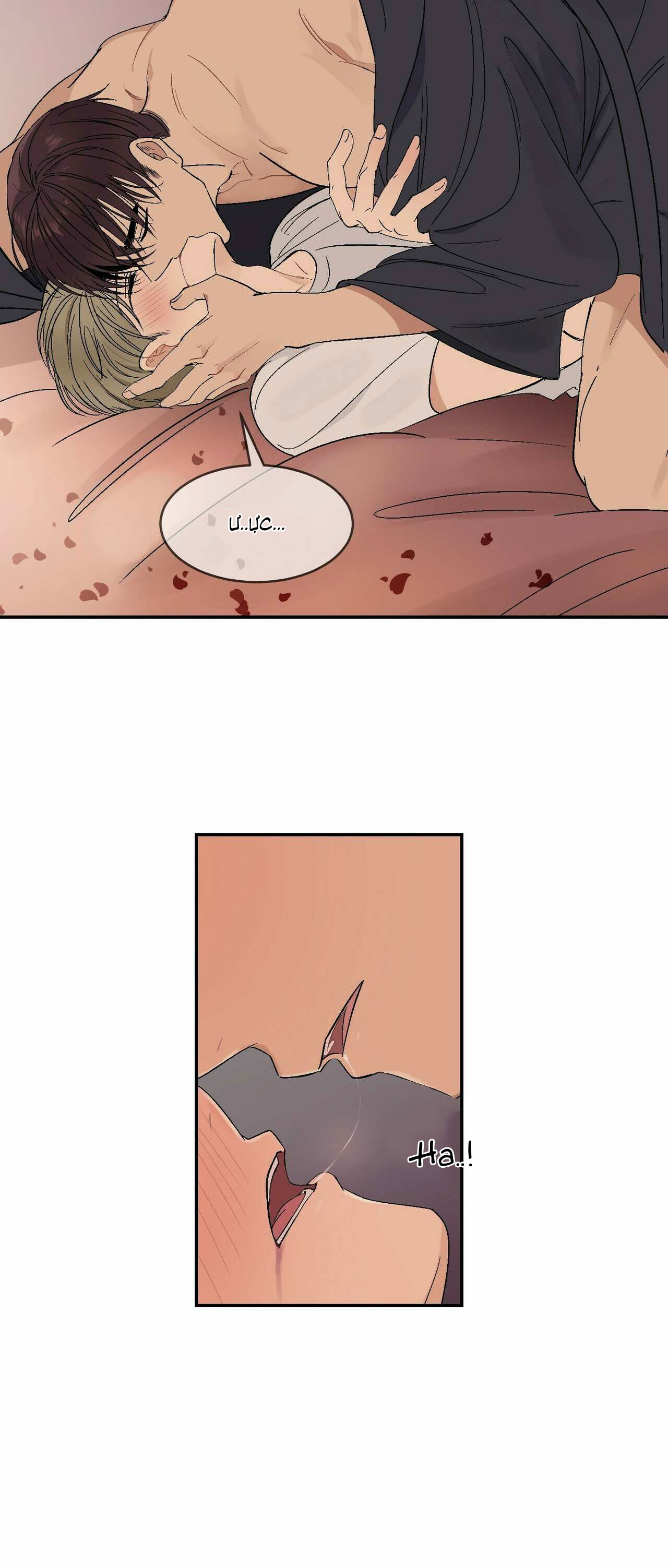 it's not like that chapter 39 2