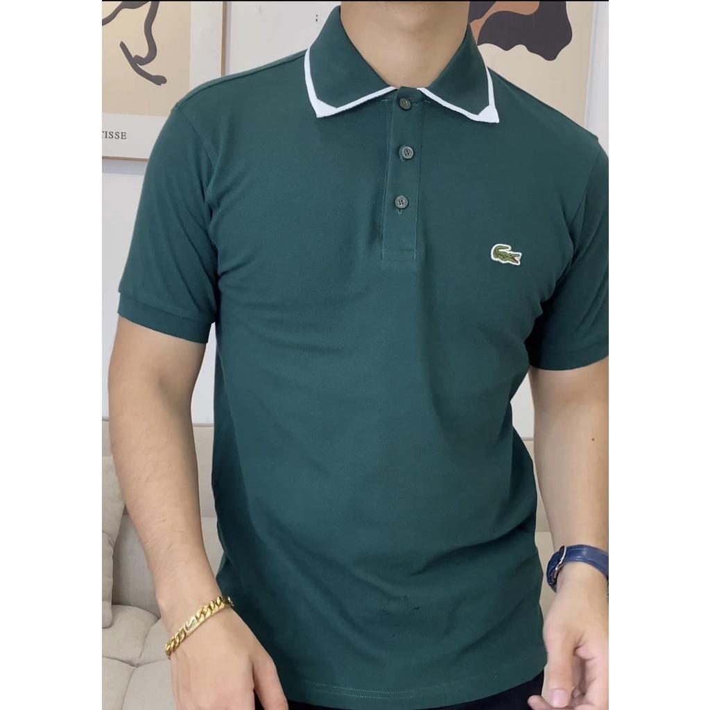 Áo polo nam cao cấp - chất cotton 100%