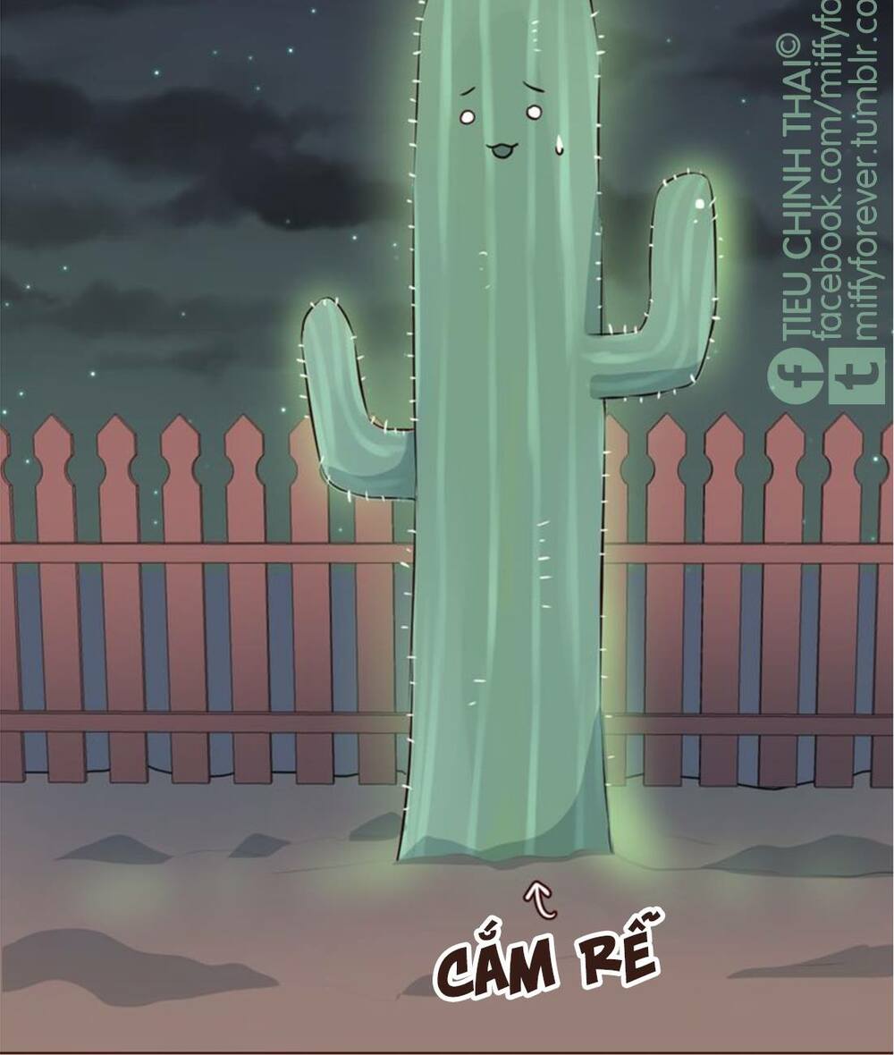 tiên thảo diệu kỳ chapter 5 14